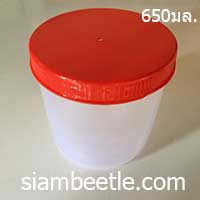 กระปุกพลาสติกสำหรับเลี้ยงแมลง ขนาด650มล.